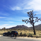 Illustration for article titled 1,000 Miles in 33 Hours, Or How I Learned to Stop Worrying Love My Z3